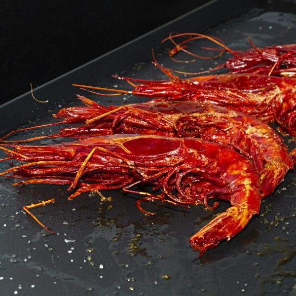 carabineros