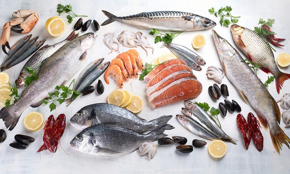 Tipos de pescado: cuáles | Alimentación Esenciadelmar