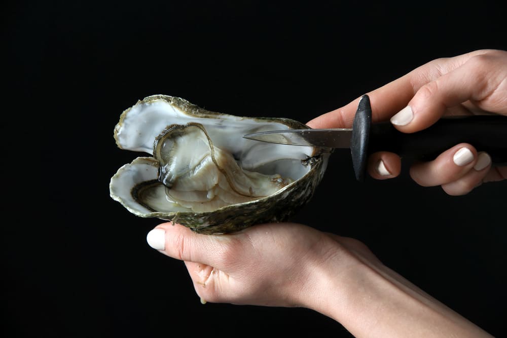 abrir ostras
