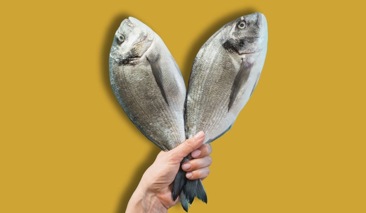 diferencias entre pez y pescado