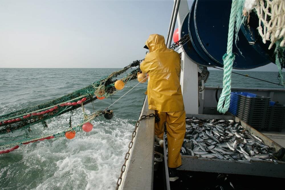 Industria pesquera española