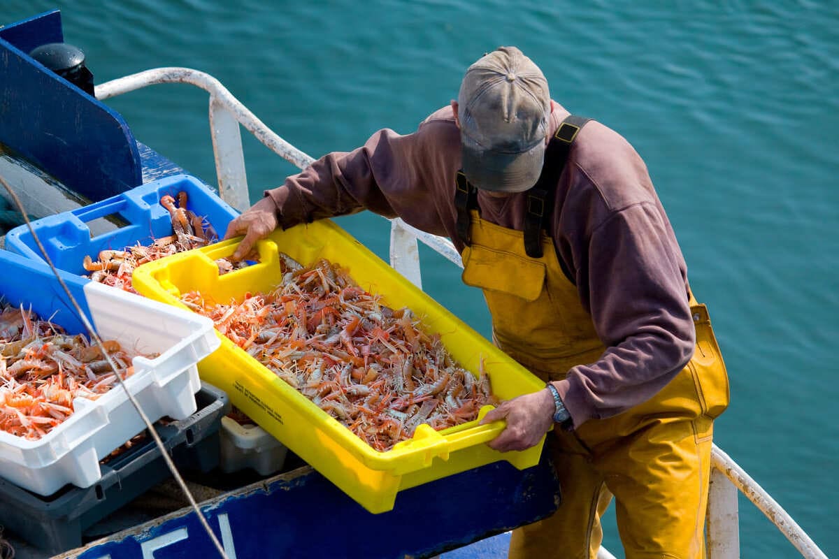 Los beneficios y desventajas de usar una atarraya en la pesca de