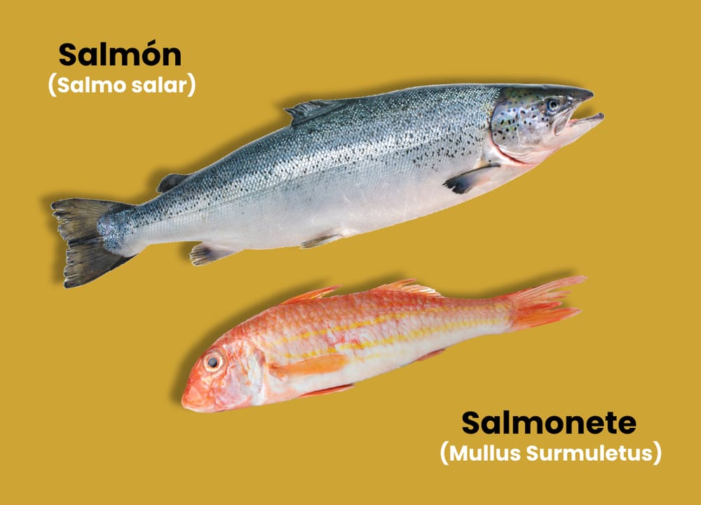 salmón y salmonete