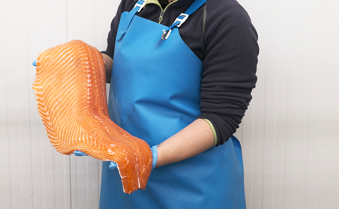 salmón pescado adelgazar
